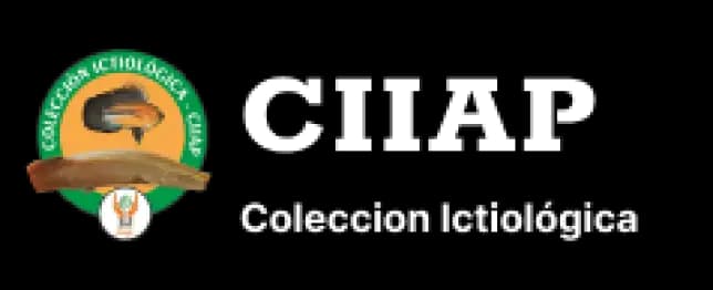 CIIAP logo